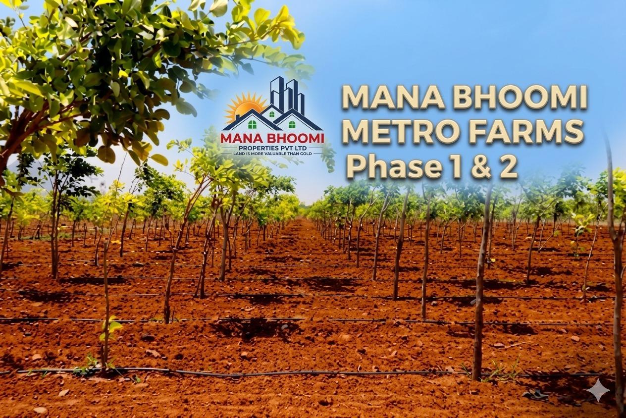 Metro Farm Phase 1&2