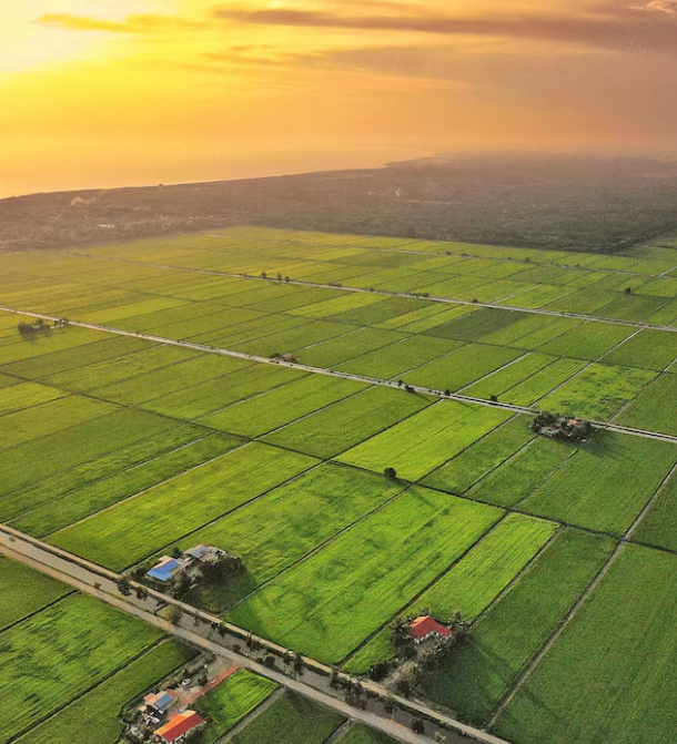 Green Harvest Farms
