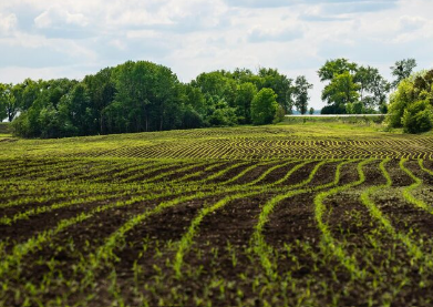 Heritage Acres